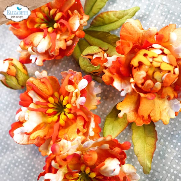 Dies Elizabeth Craft Designs - Florals 21 - 6 dies