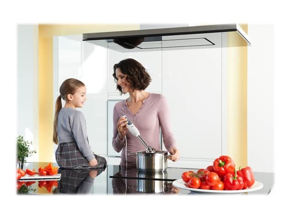 Braun Multiquick 3 MQ 3137 Sauce+ - Sauvasekoitin - 750 W - valkoinen/harmaa