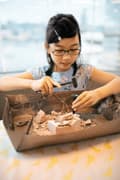 Miniatyrbilde 3 av 6: 4M craft kit "Dig a Pteranodon skeleton"