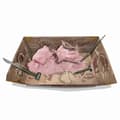 Miniatyrbilde 5 av 6: 4M craft kit "Dig a Pteranodon skeleton"