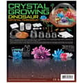 Miniatyrbilde 2 av 5: 4M DIY set Dino crystal terrarium