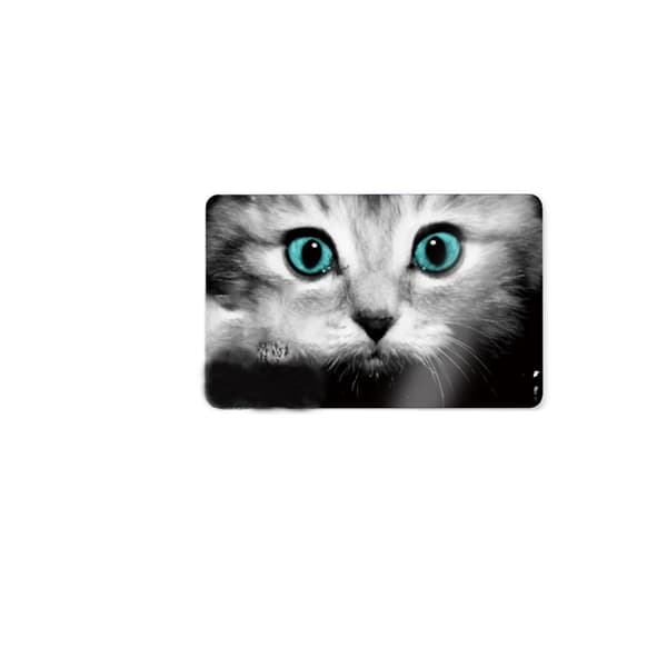 INF Klistremerke til kredittkort cat pattern