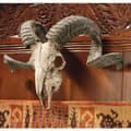 Miniatyrbild 2 av 2: Design Toscano Corsican bagge skallväggtrofé med sina horn CL3377 Flerfärgad 18 x 47 x 29 cm