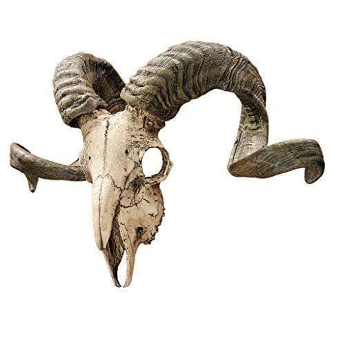 Design Toscano Corsican bagge skallväggtrofé med sina horn CL3377 Flerfärgad 18 x 47 x 29 cm
