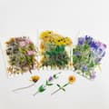 Miniatyrbillede 5 af 5: INF Gennemsigtige blomsterklistermærker til DIY-journalisering Flerfarvet 1