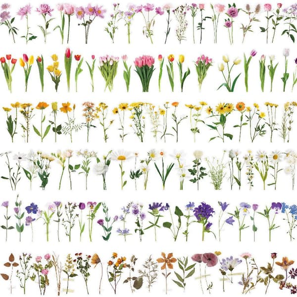 INF Gennemsigtige blomsterklistermærker til DIY-journalisering Flerfarvet 2