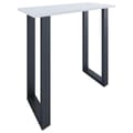 Miniatyrbillede 1 af 4: Xona barbord 110x50 hvid, sort.