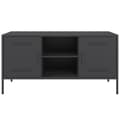 Miniatyrbillede 6 af 10: tv-bord 100,5x39x50,5 cm stål sort