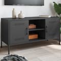 Miniatyrbillede 1 af 10: tv-bord 100,5x39x50,5 cm stål sort