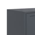 Pikkukuva 10 / 10: TV-taso antrasiitti 100,5x39x43,5 cm kylmävalssattu teräs