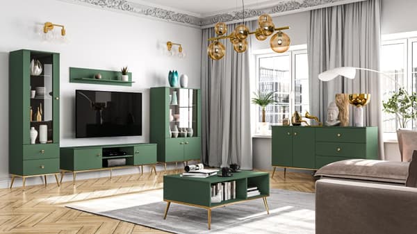 FURNLUX VITRINSKÅP FORT GRÖNT & GULD 55CM