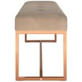 Miniatyrbillede 4 af 8: vidaXL bænk 110x36x45 cm velour beige