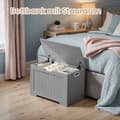 Miniatyrbillede 2 af 5: Skobænk, sofa med lagerplads, opbevaringsskab