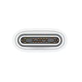 Miniatyrbillede 2 af 2: Apple Kabel Usb-c 1 M Søvfarvet