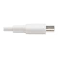 Miniatyrbillede 6 af 6: Eaton Til Lightning-kabel Usb-c Transparent