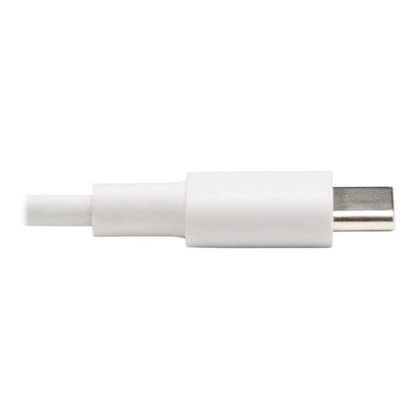 Eaton Til Lightning-kabel Usb-c Transparent