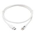 Miniatyrbillede 1 af 6: Eaton Til Lightning-kabel Usb-c Transparent