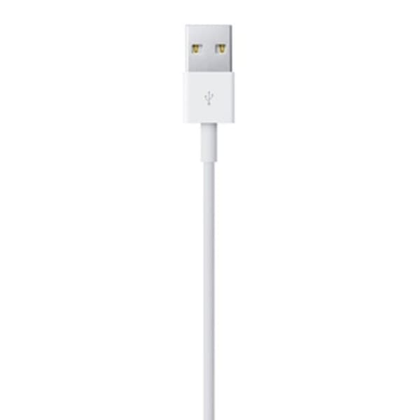 Lyskabel Apple ME291ZM/A 50 cm Hvid