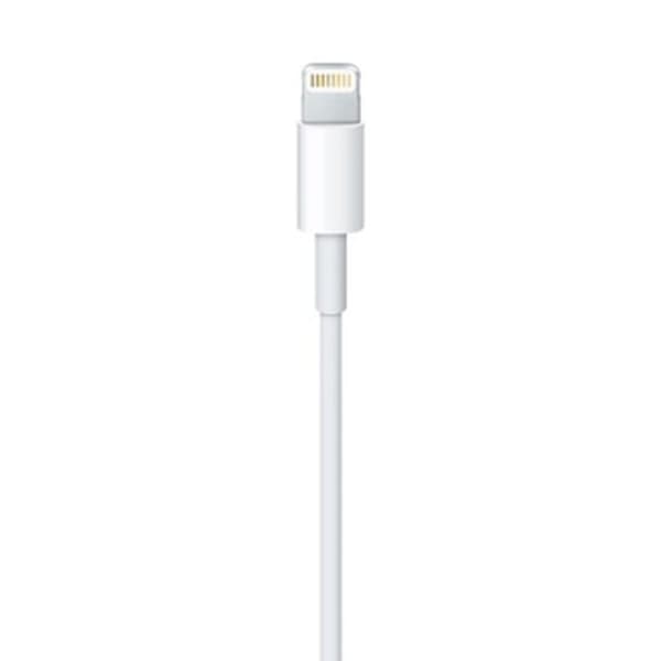 Lyskabel Apple ME291ZM/A 50 cm Hvid