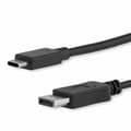 Miniatyrbild 2 av 4: USB C till DisplayPort Adapter Startech CDP2DPMM6B           (1,8 m) Svart
