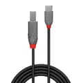 Miniatyrbild 2 av 2: USB C till USB B Kabel LINDY 36942 Svart 2 m