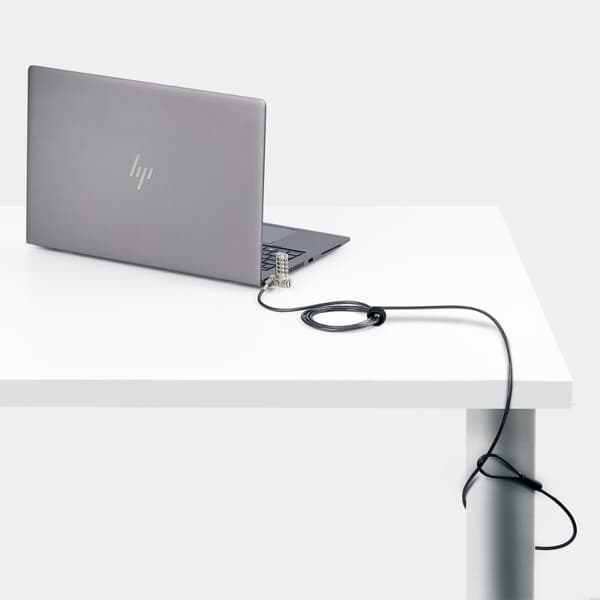 USB-Kabel Startech UNIVC4D-LAPTOP-LOCK Svart/Grå 2 m