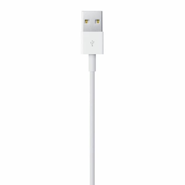 USB - Lightning kaapeli Apple MXLY2ZM/A Valkoinen 1 m (1 osaa)