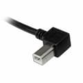 Miniatyrbild 3 av 3: USB A till USB B Kabel Startech USBAB3ML             Svart