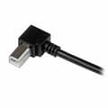 Miniatyrbild 3 av 3: USB A till USB B Kabel Startech USBAB1MR             Svart
