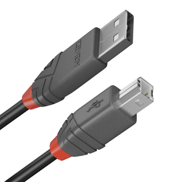 USB A till USB B Kabel LINDY 36673 Svart 2 m