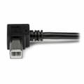 Miniatyrbild 2 av 3: USB A till USB B Kabel Startech USBAB2MR Svart