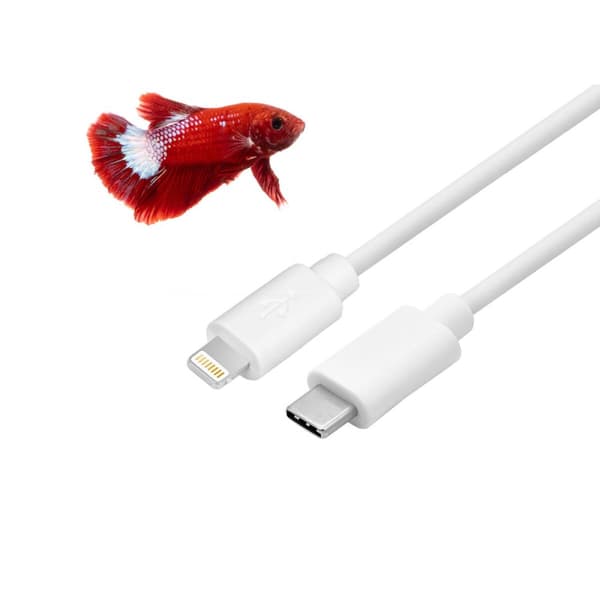 USB-C - Lightning kaapeli CoolBox COO-CAB-UCLI Valkoinen 1 m