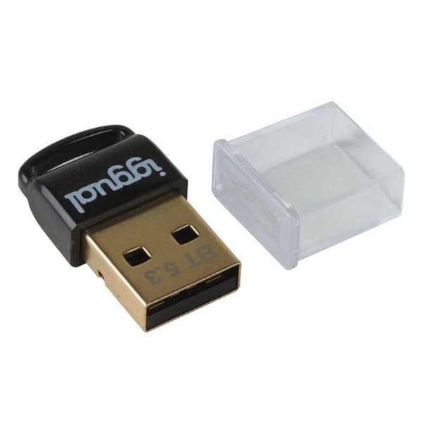Bluetoothadapter iggual IGG319383