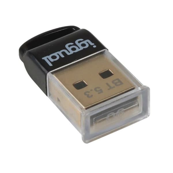 Bluetoothadapter iggual IGG319383