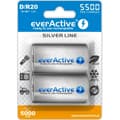 Miniatyrbillede 1 af 2: Genopladeligt batteri EverActive EVHRL20-5500 5000 mAh 1,2 V (2 enheder)