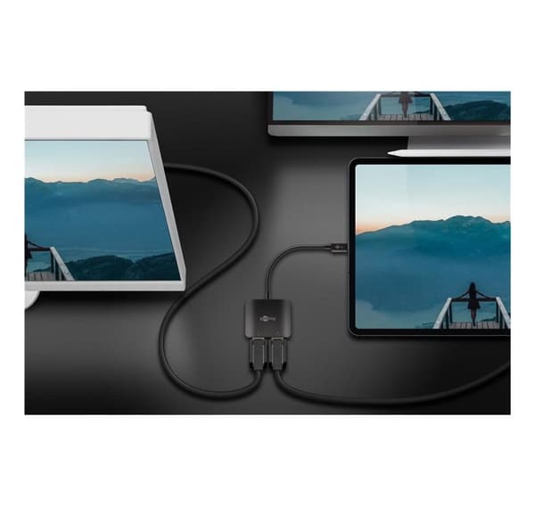 Goobay, USB-C-adapter till 2x DisplayPort, 60171