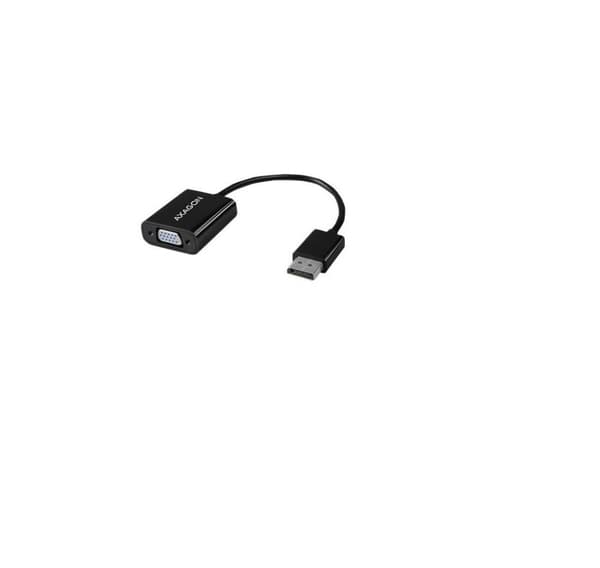 AXAGON, RVD-VGN DisplayPort - VGA-adapter