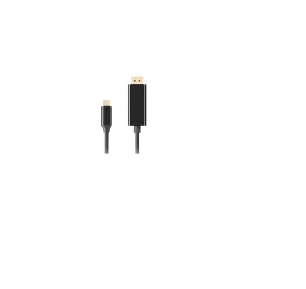 Lanberg, USB-C till DisplayPort-kabel, CA-CMDP-10CU-0010-BK
