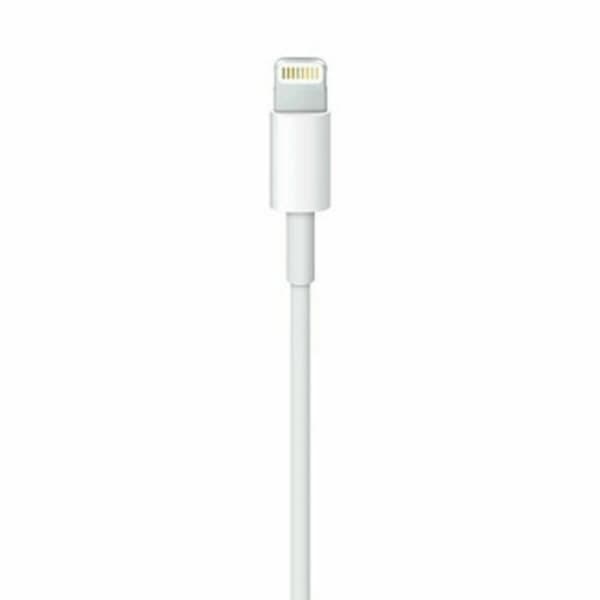 Lightning-kaapeli Apple ME291ZM/A Valkoinen 50 cm (1 osaa)