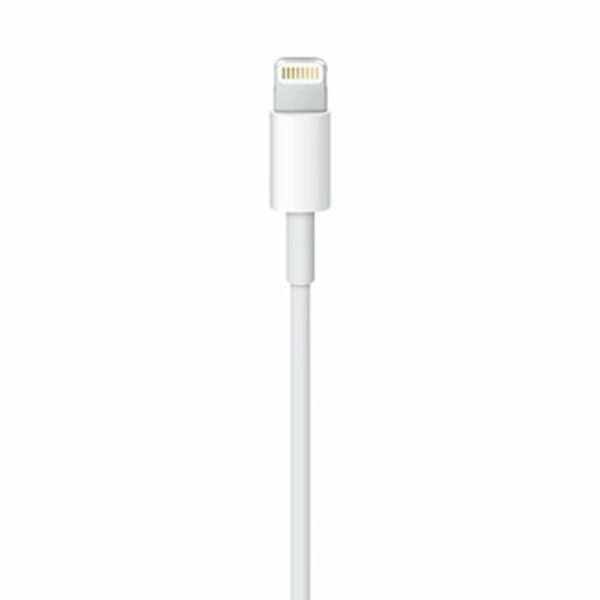 Lightning-kaapeli Apple ME291ZM/A Valkoinen 50 cm (1 osaa)