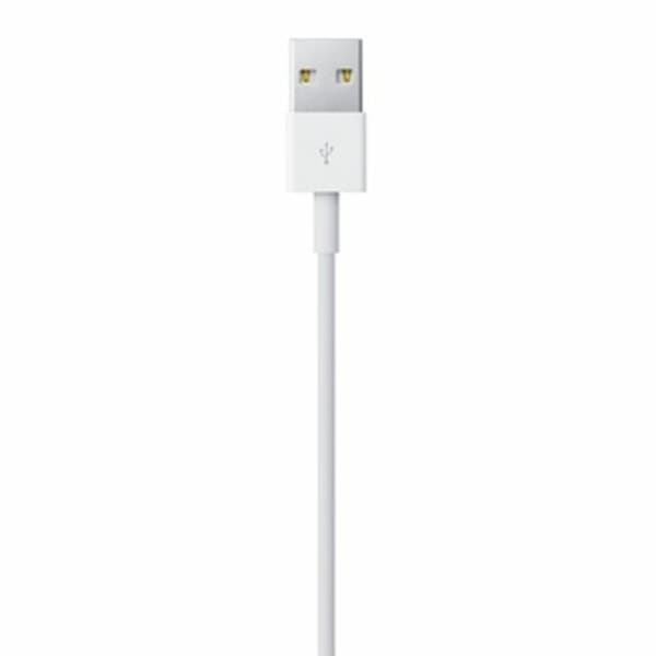 Lightning-kaapeli Apple ME291ZM/A Valkoinen 50 cm (1 osaa)