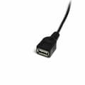 Pikkukuva 3 / 3: USB A - USB B kaapeli Startech USBMUSBFM1