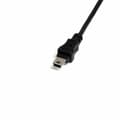 Pikkukuva 2 / 3: USB A - USB B kaapeli Startech USBMUSBFM1