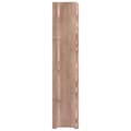 Miniatyrbilde 4 av 7: vidaXL Skohylle brun 90x24x117 cm konstruert tre