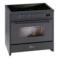 Miniatyrbild 1 av 4: GURARI Induktionsspis E 913 BL Ugn 90 cm/121L