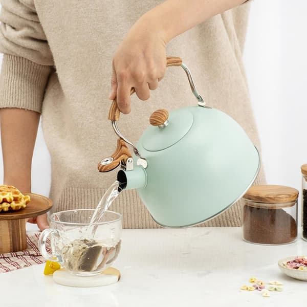2,5 L visslande vattenkokare i rostfritt stål, med inbyggd visselpipa, säker design, lättanvänd, kompatibel med gas- och induktionshällar