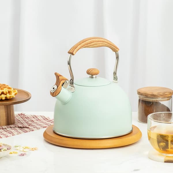 2,5 L visslande vattenkokare i rostfritt stål, med inbyggd visselpipa, säker design, lättanvänd, kompatibel med gas- och induktionshällar