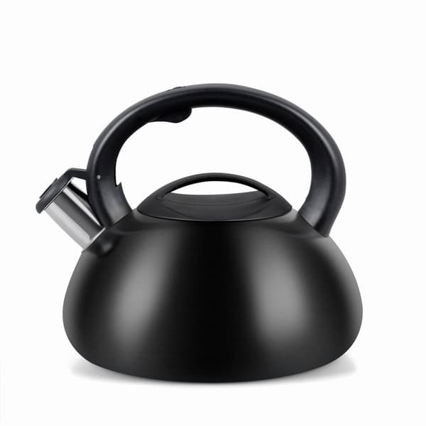PROMIS TMC01BS elkedel AUGUSTO MAT 3 liter INDUKTION, GAS