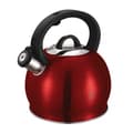 Pikkukuva 1 / 4: BERLINGER HAUS 3L VEDENKEDIN VIELLÄ BH-1074 BURGUNDY