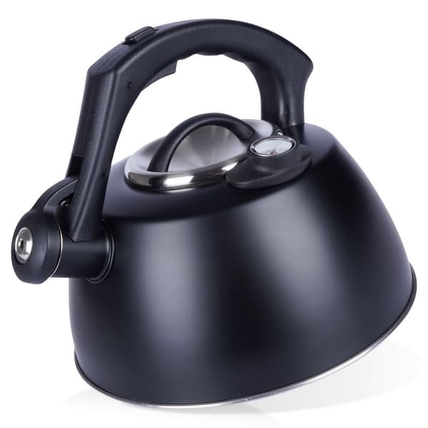 Stålkedel med fløjte og termometer, sort, 3 l